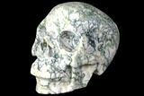 Realistic, Polished Tree Agate Skull #151195-2